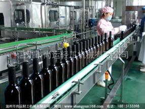 藍(lán)莓果酒生產(chǎn)線-飲料設(shè)備